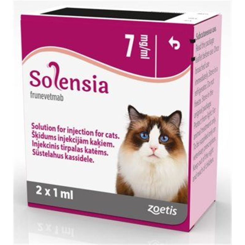 Solensia for Cats Effective Treatment for Feline Arthritis Solensia