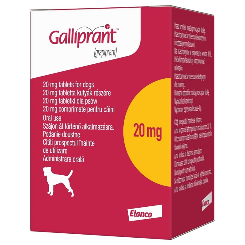 20mg Galliprant for Dogs | Osteoarthritis Pain Relief for Dogs