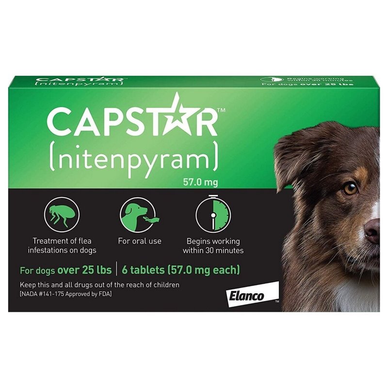 capstar pill