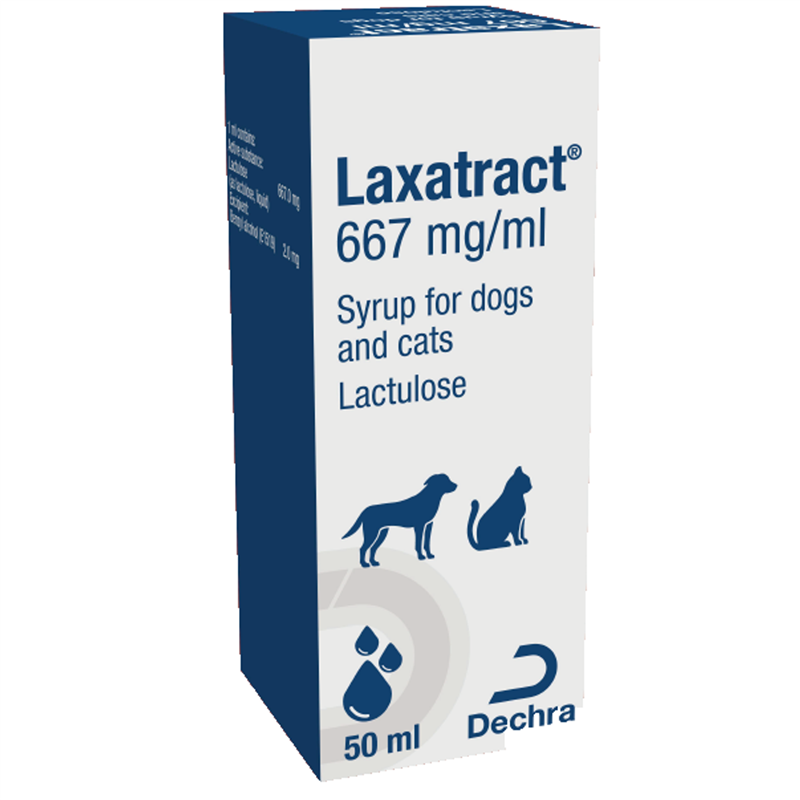 Lactulose for constipation sales in cats