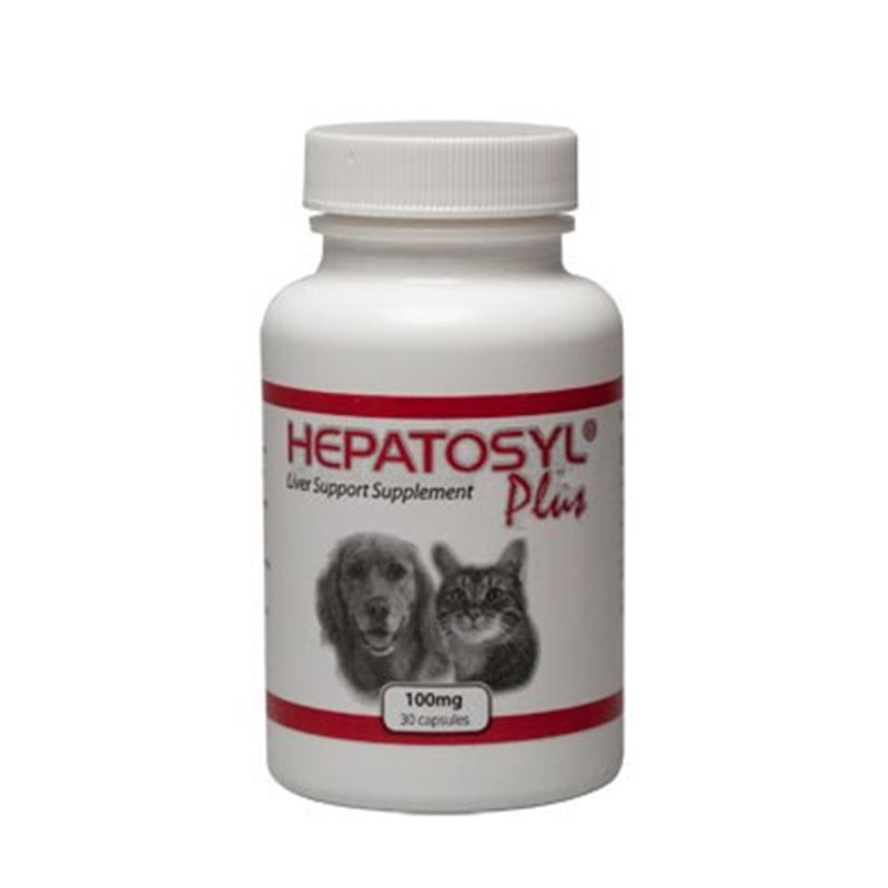 Liver supplement hotsell for dogs