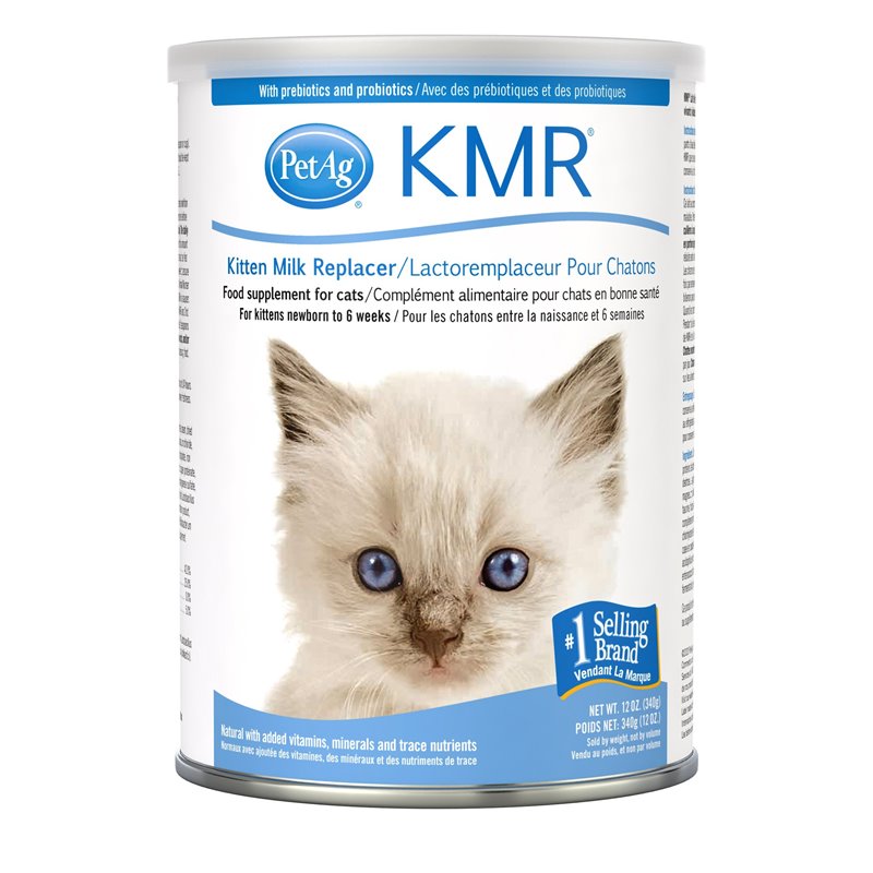 Milk replacer best sale plus for kittens