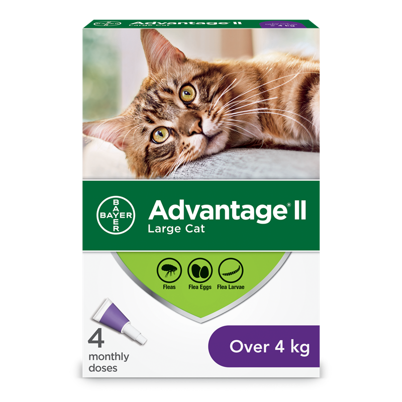 Advantage for shop cats uk